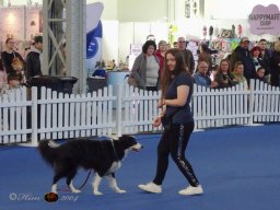 Haustiermesse am 1.03.2026